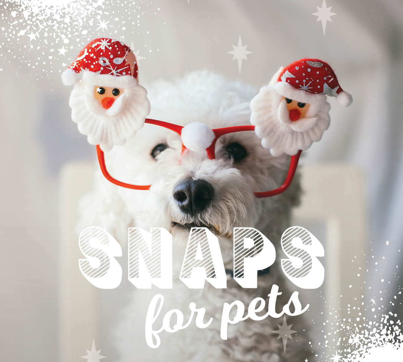 CH4806_Xmas 2019_Web Tiles_Snaps for pets_628x612px