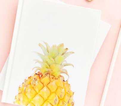 Pineapple_Notbook